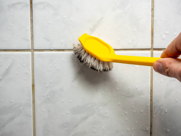 Best Professional Mold Removal  in Lakeview, GA