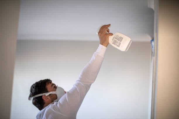 Best Certified Mold Removal  in Lakeview, GA