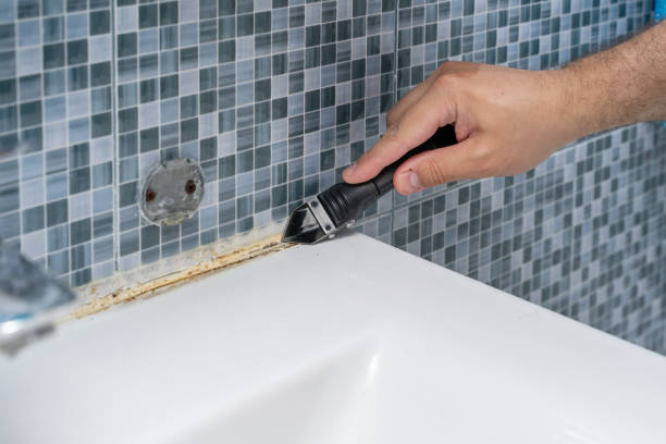 Best Mold Damage Repair  in Lakeview, GA